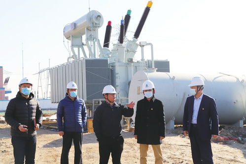 绿色金融赋能低碳发展 德州金融机构创新产品与服务升级